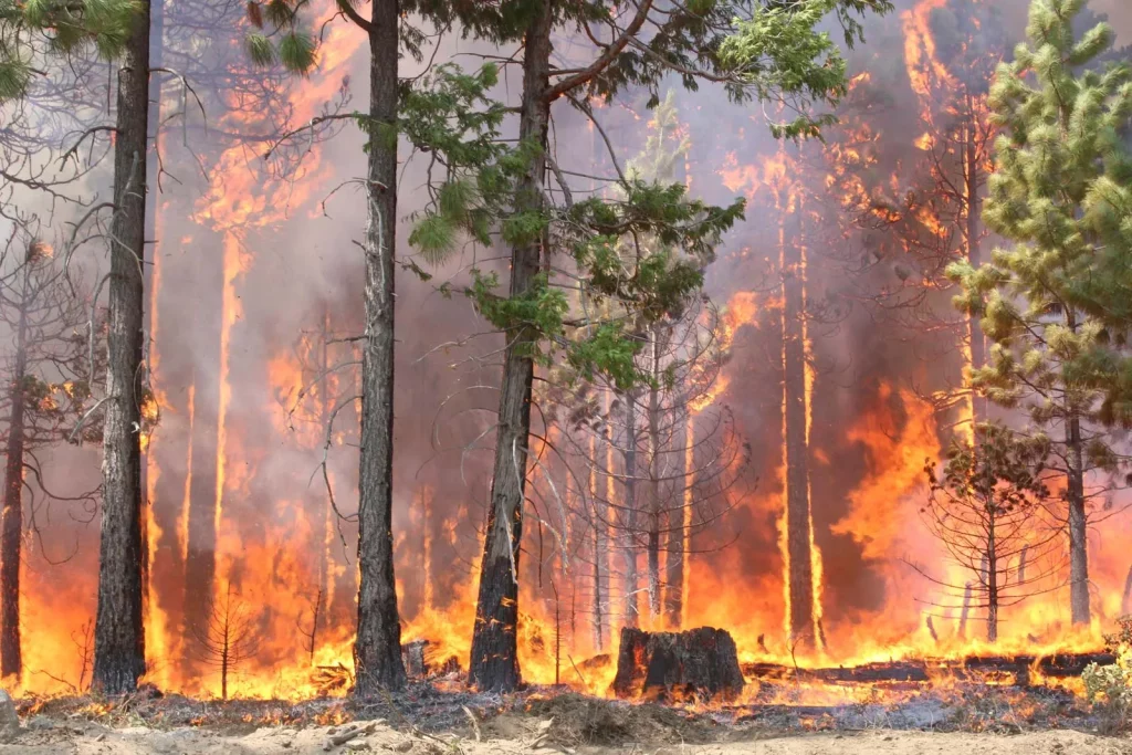 Durkee Fire in Oregon Becomes Nation’s Largest Active Blaze