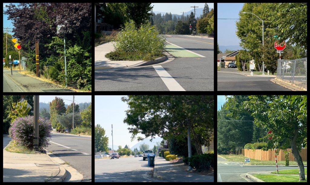 Know when to trim your foliage along the public right of way