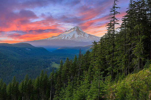 Oregon and Southern Oregon: A Comprehensive Look at the Best Places to Live in the U.S.