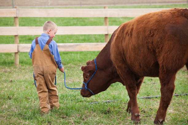 Fairgrounds Access Sparks Controversy as Youth Agriculture Advocates Demand Accountability