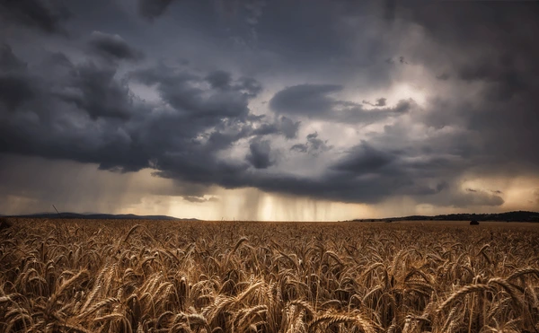 Examining Cloud Seeding in the United States: Science, Safety, and Controversy