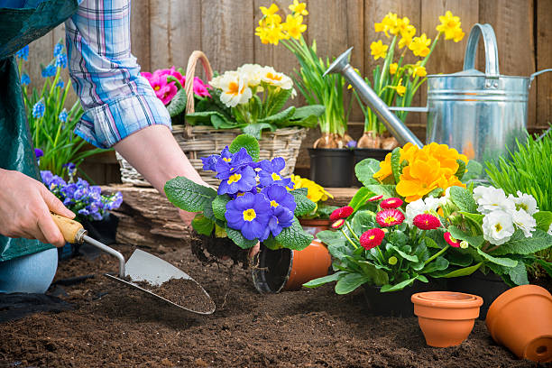Bloom on a Budget: How to Create a Stunning Front Yard Flower Garden in Southern Oregon for Under $100