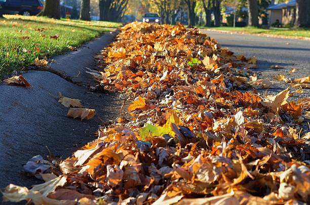 Community Reminder: Keep Leaves Out of the Street