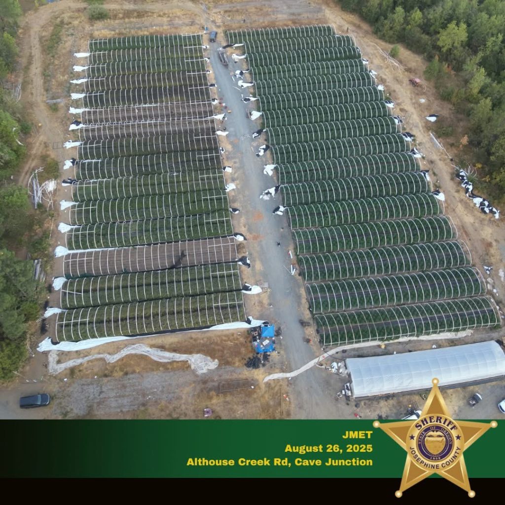 Massive Marijuana Bust in Cave Junction Brings Federal and Local Agencies Together