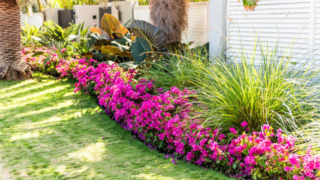 Southern Oregon Enters Prime Planting Season With Flowers Built for Summer Heat