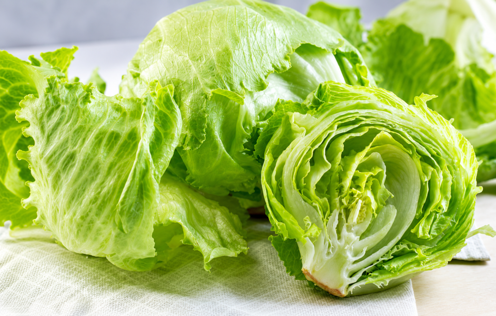 Iceberg Lettuce Supply Chain Identified as Focus of Federal Cyclospora Investigation