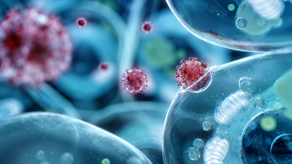 Zoonotic: The Transfer of Microbes From Mammal to Mammal