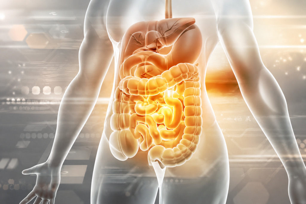 Biological Changes Create Environmental Stressors the Body Was Never Meant to Experience