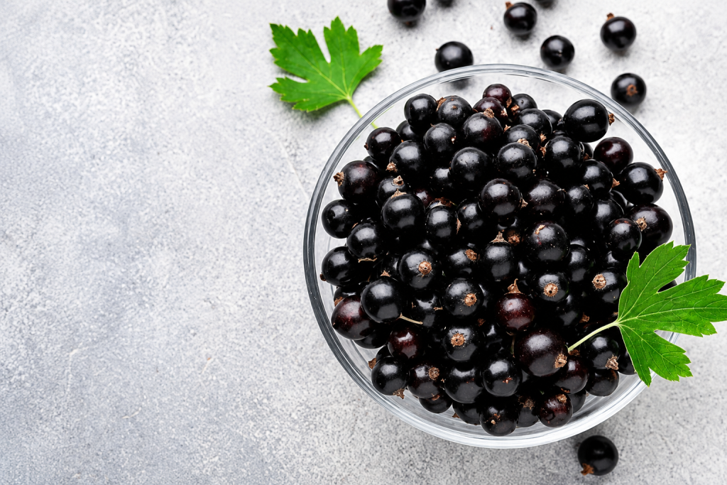 Black Currants: The Once-Banned Medicinal Berry Science Is Rediscovering