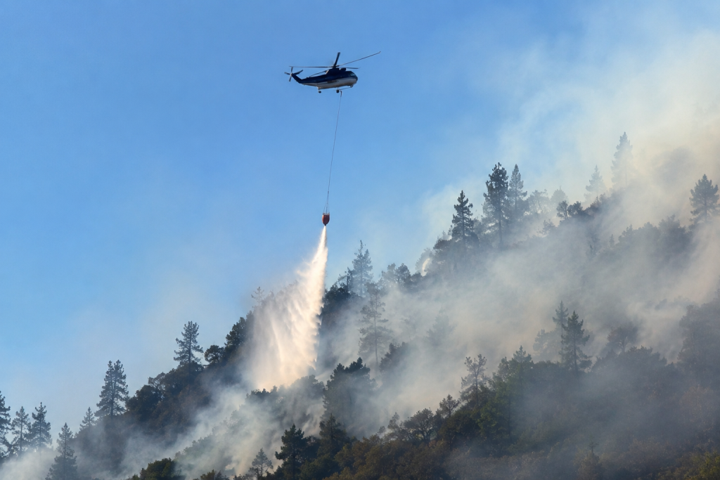 Firefighters Gain the Upper Hand as Overnight Effort Strengthens Containment on Fast-Moving I-5 Wildfire Near Grants Pass