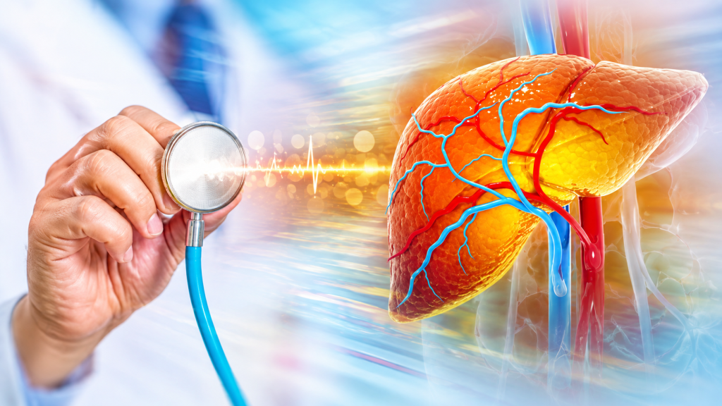 THE LIVER NEVER CLOCKS OUT: INSIDE ONE OF THE BODY’S MOST EXTRAORDINARY ORGANS