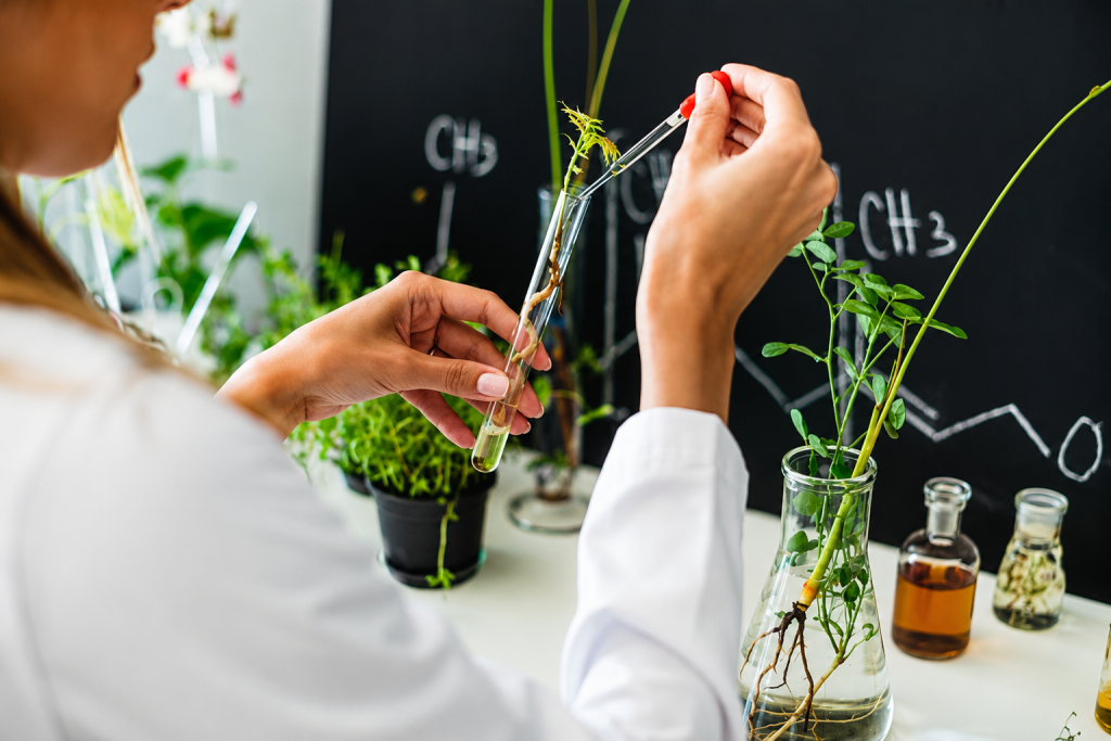Plants of the Early Empires and the Biology That Validates Their Power