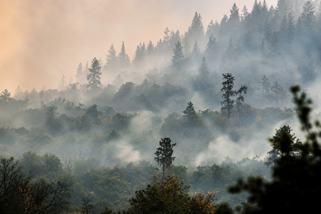Beyond the Haze: Wildfire Smoke Carries Serious Health Risks Across Oregon
